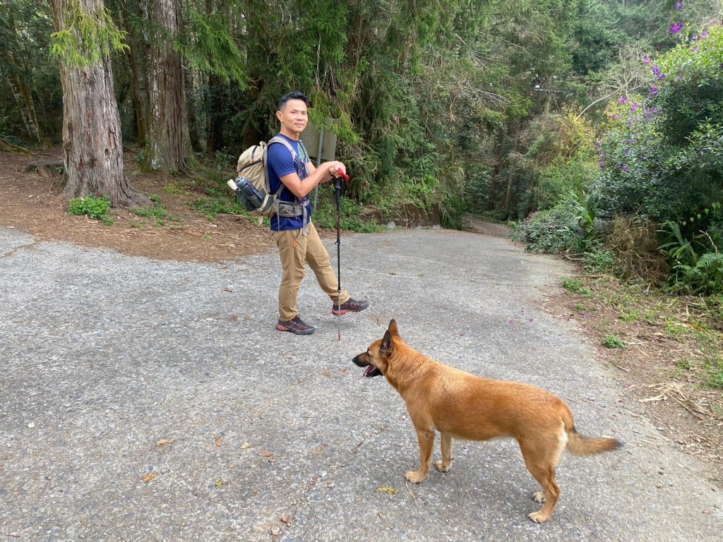 望鄉部落.獵人古道.望美山.瓊山【人與自然山林的恩怨情仇】_2731378