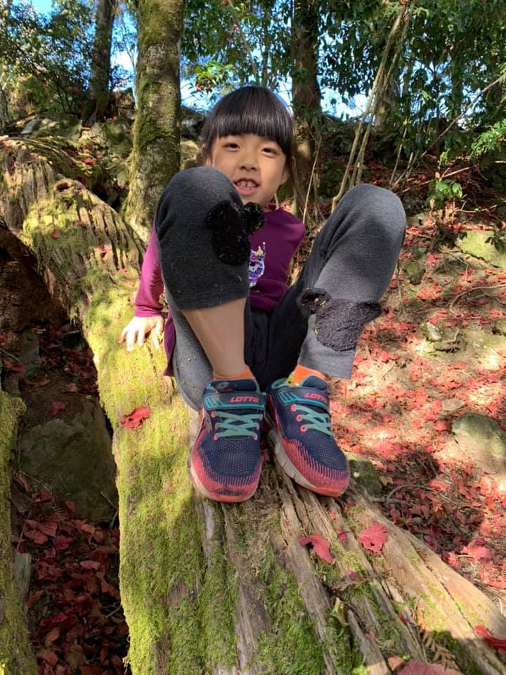 稍來楓情（小白岳）_752848