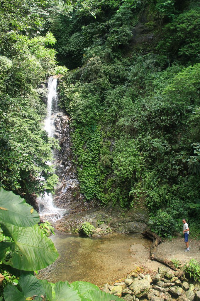 花蓮．佐倉 撒固兒步道2023/04/29_2164669