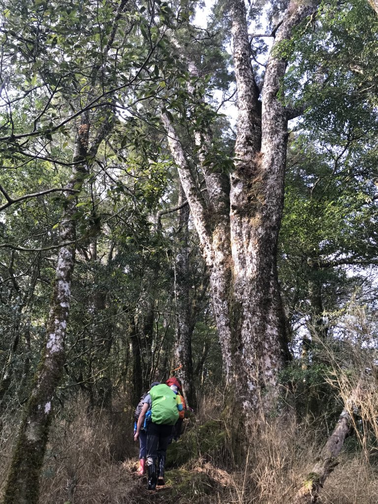 霞喀羅大山,佐藤山順訪佐藤駐在所_1324577