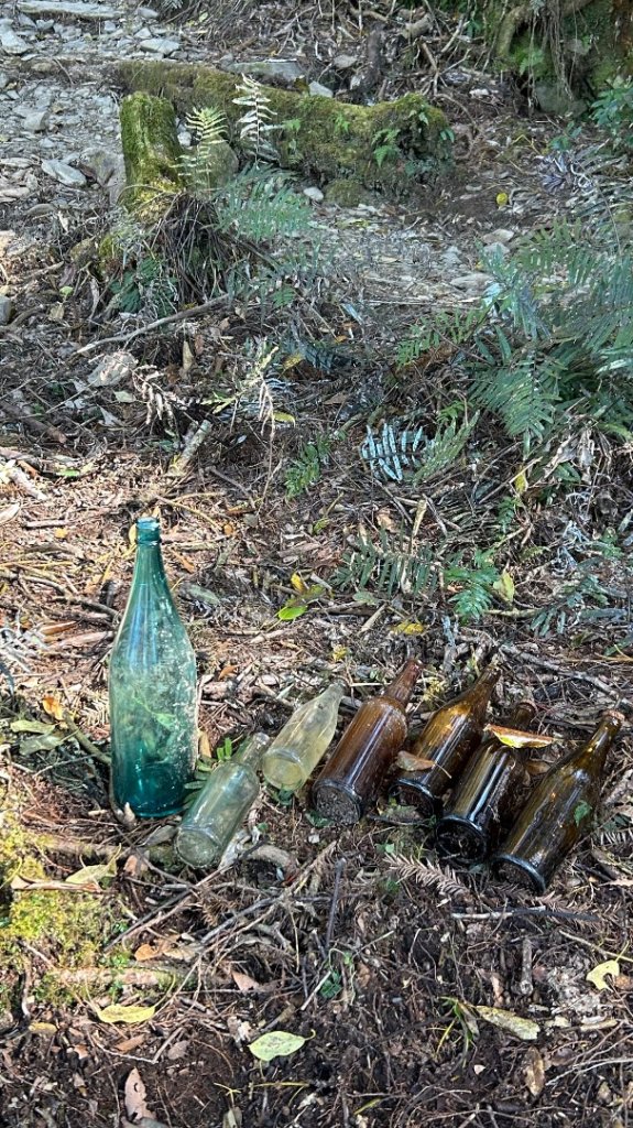 大同加羅湖穆魯洛亞滬庫霞四季警備道_2748268