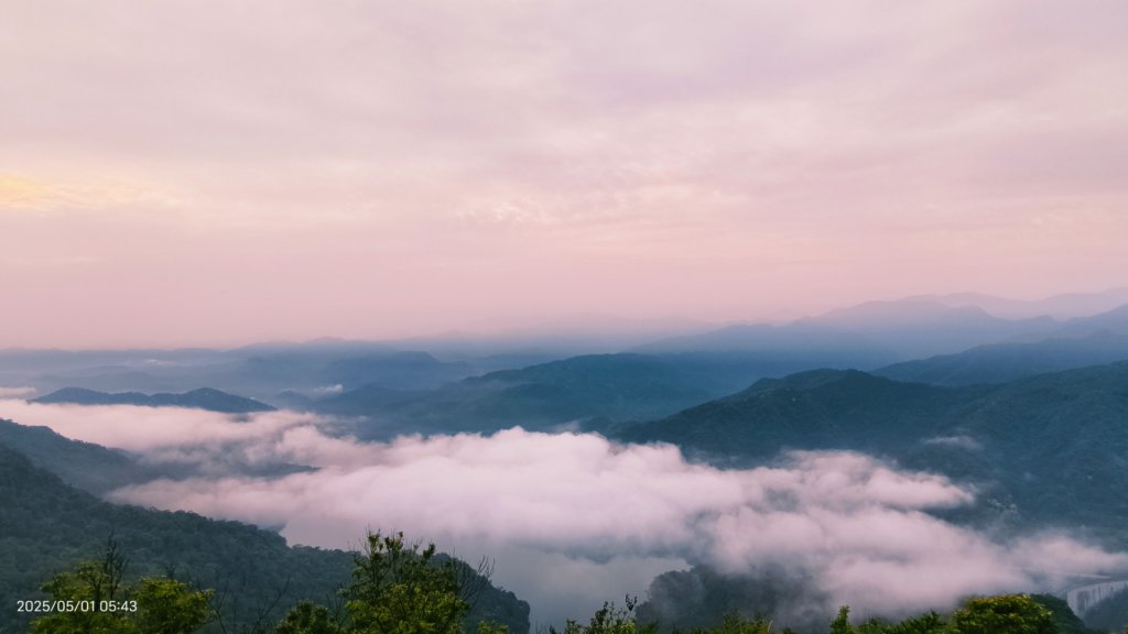 翡翠水庫壩頂 #火燒雲雲海 #日出雲海 #鱷魚島 #藍腹鷴 4/29_2773786