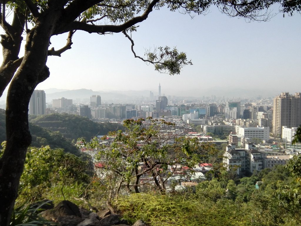 〜 金面山親山步道 〜_473172