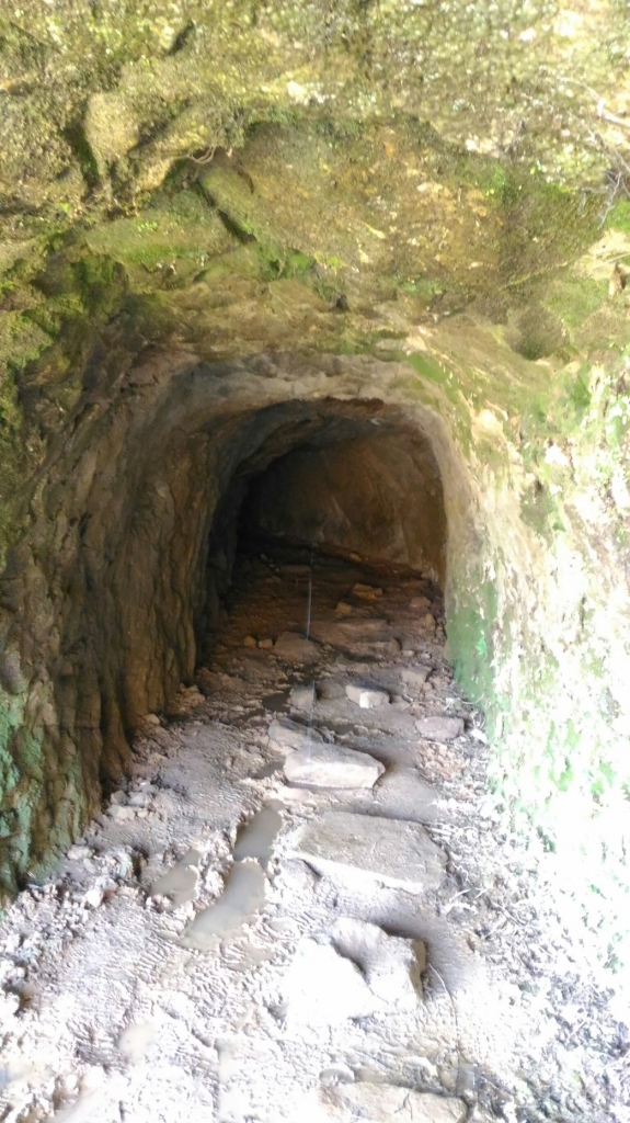 黃金五、六稜: 劍龍稜、鋸齒稜，茶壺山_94512