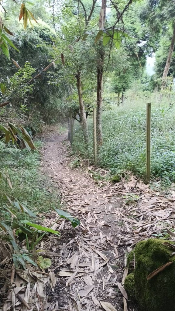 20251004 馬那邦山 - 珠湖 登山口_2904776