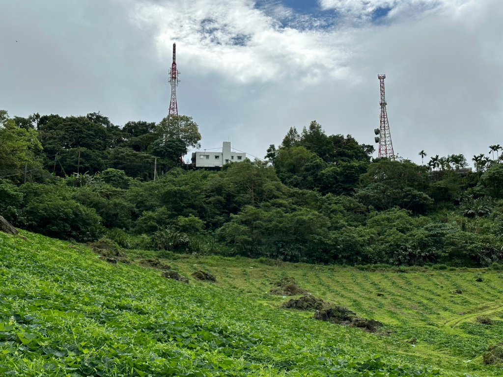 花蓮八景之一鯉魚山封面圖