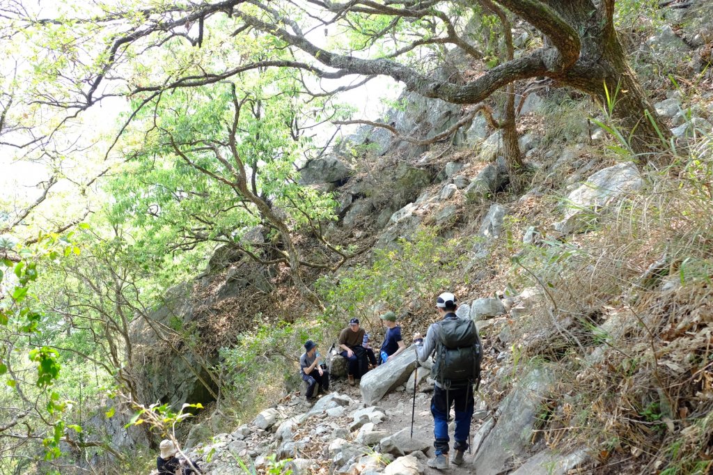 谷關七雄 | 東卯東南稜下松鶴_1320699