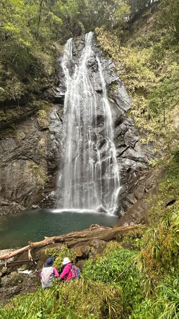 復興赫威神木_2748198