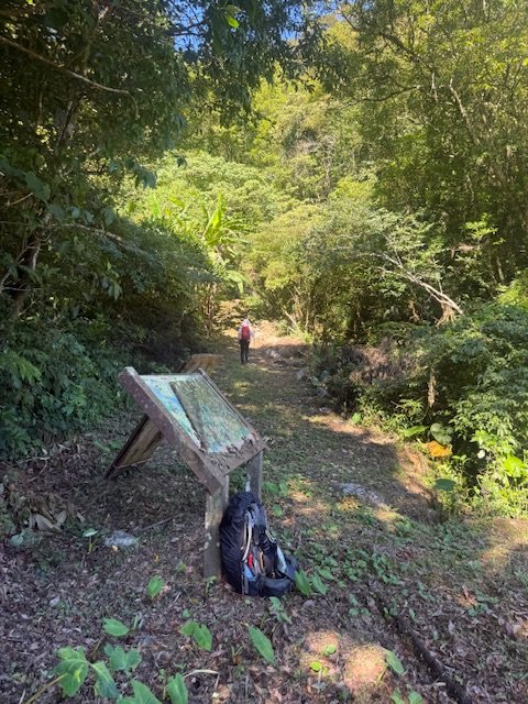 2025-08-30 豎旗山西北稜上-豎旗山-烏山古道西段下_2874114