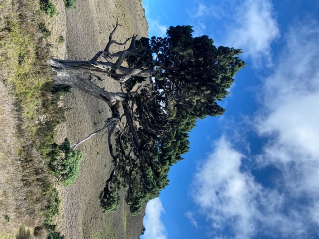 大南三段（六順七彩湖接南三段）_1160366
