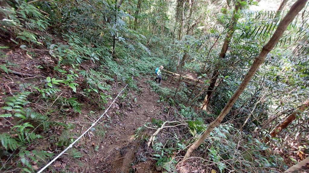 平溪區 東勢格越嶺古道-咸豐嶺古道-臭頭山-白石後仙洞O型_2267763