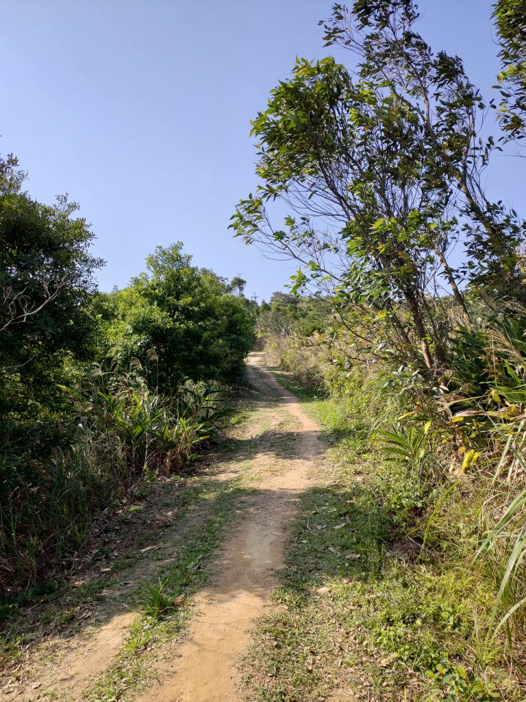 虎頭山大亂走_820184