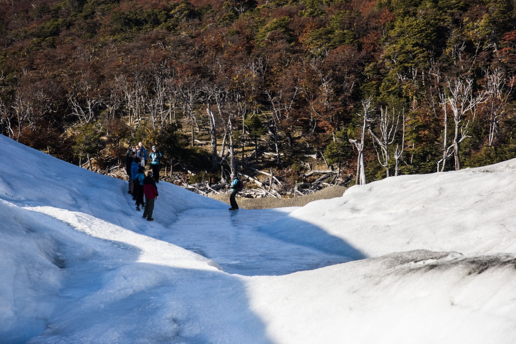 阿根廷莫雷諾冰川健行_54135