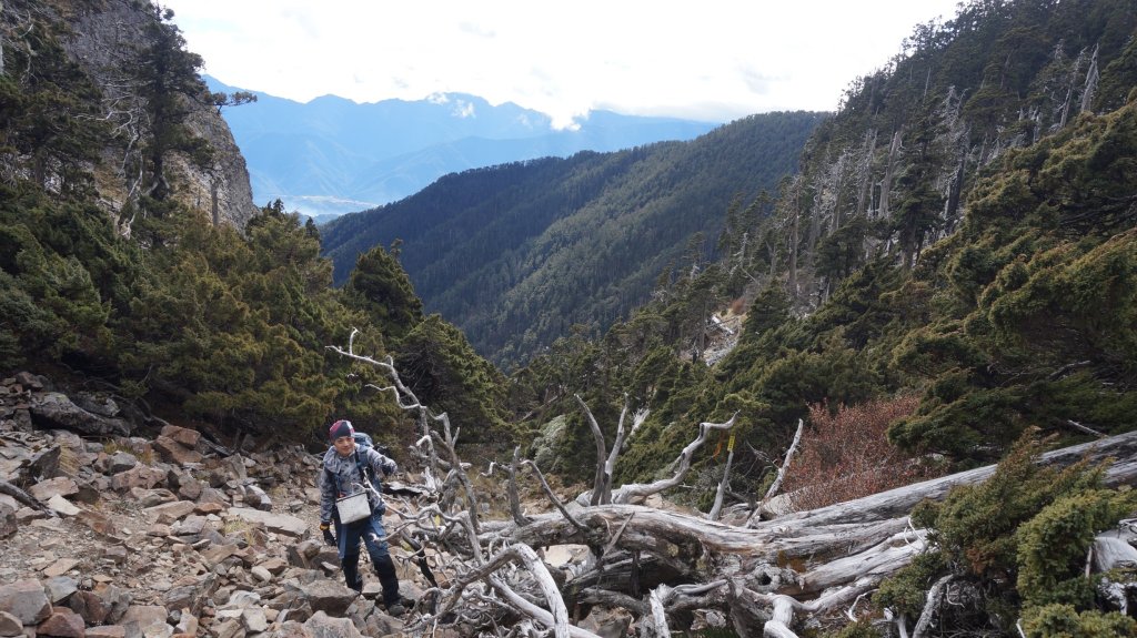 志佳陽雪山之毅_466058