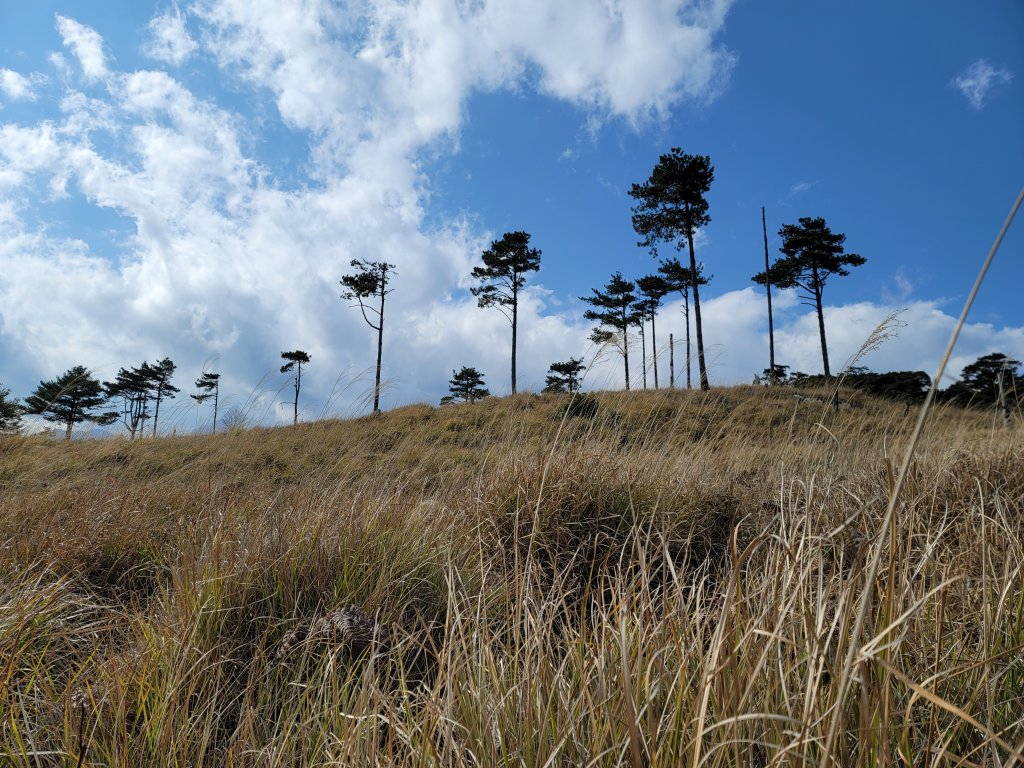 羅馬縱走_2440991