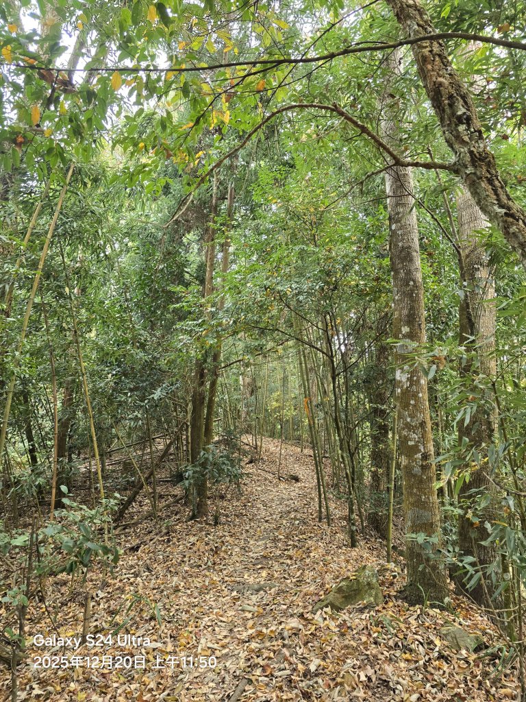 2025-12-20橫龍古道_2967595