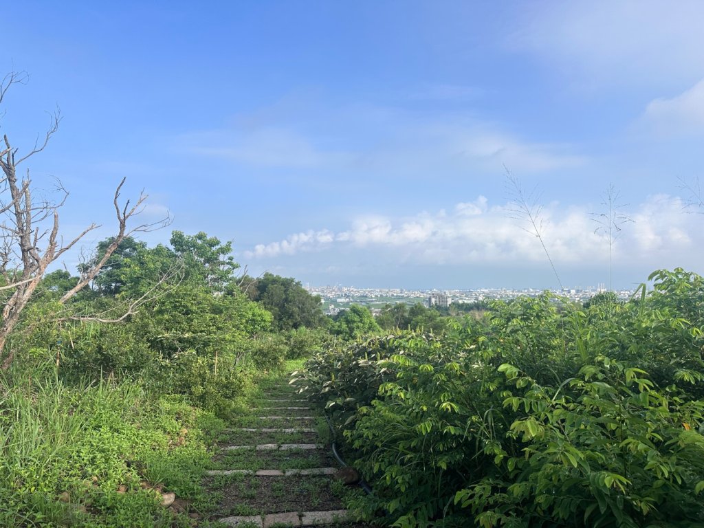 龍目井步道_2805241