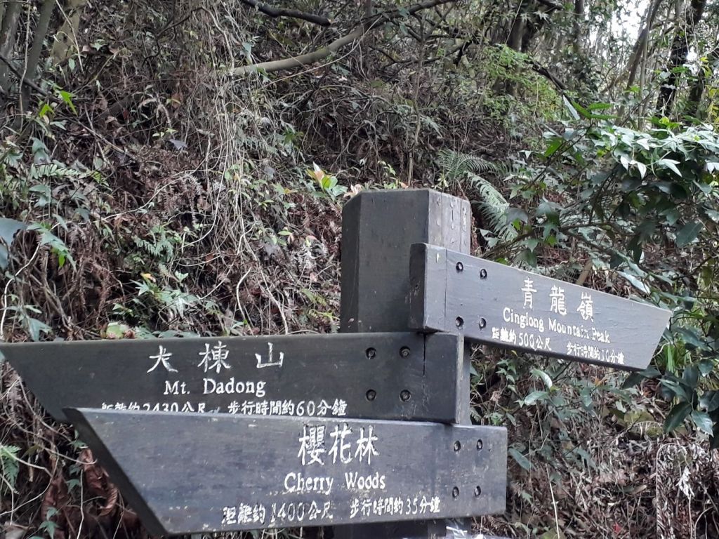 青龍嶺大同山步道_301414