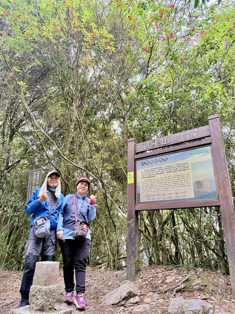 撒落一路楓紅-稍來山    2026.01.01封面圖