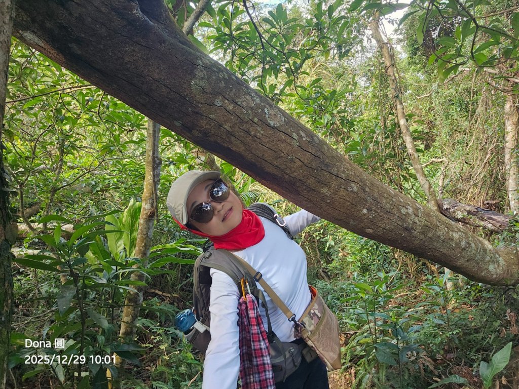 20251229石龜坑山上白石山下白石埤O走+阿姆坪_2976656