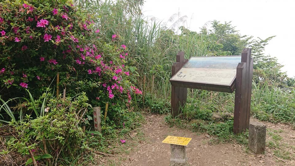 五指山之龜_915854