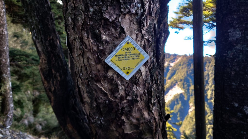 一日南臺首岳 關山(2023.1.13)_1994177