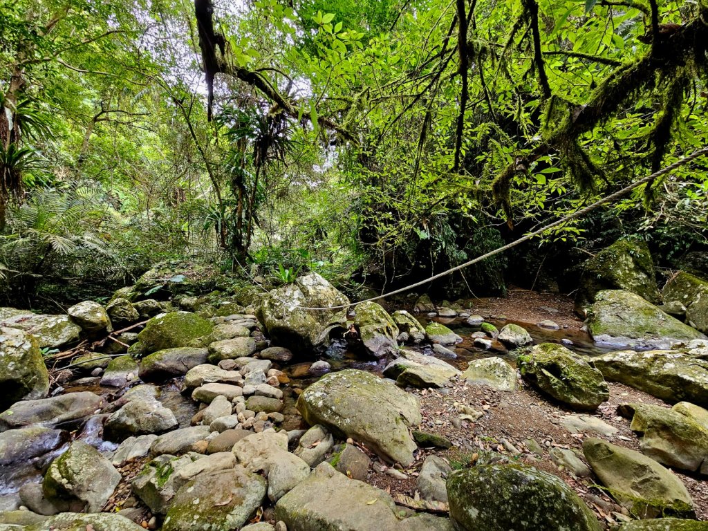 馬胎古道、馬胎二期古道、南坪古道封面圖