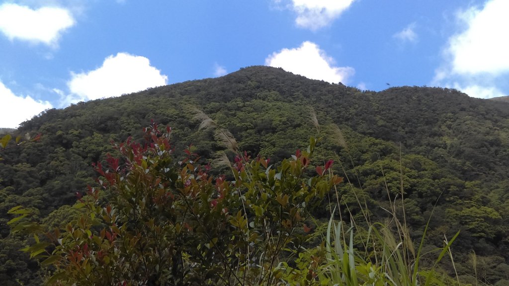 心之所嚮的礁溪聖母峰－抹茶山_880496