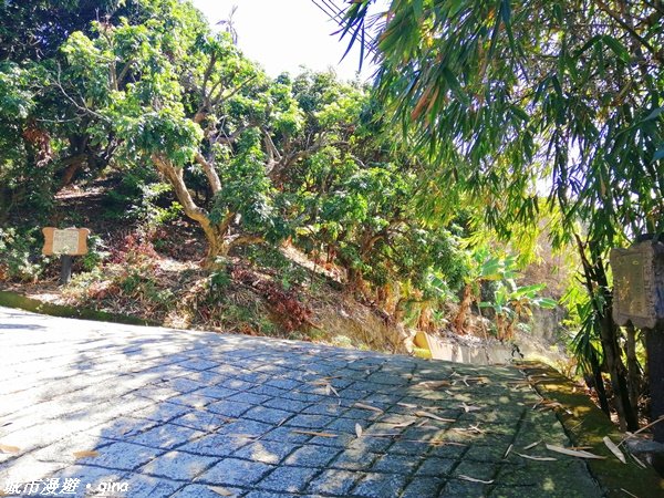 跟著土地公指標趣味走~大里金螢寶山貴妃道_1299086
