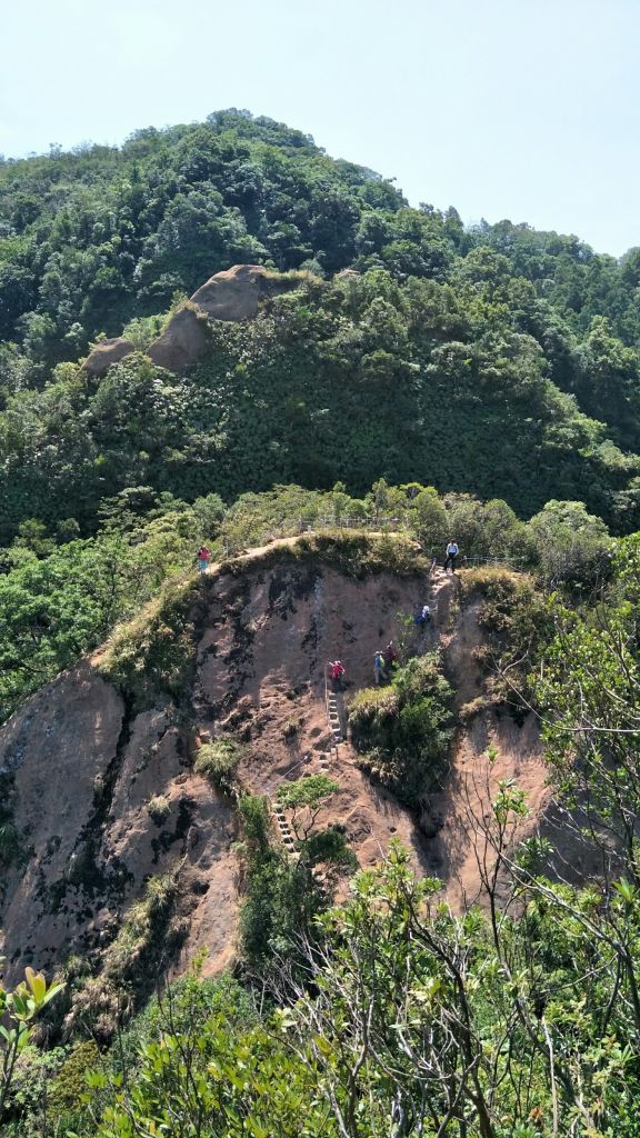 孝子山初體驗_310349