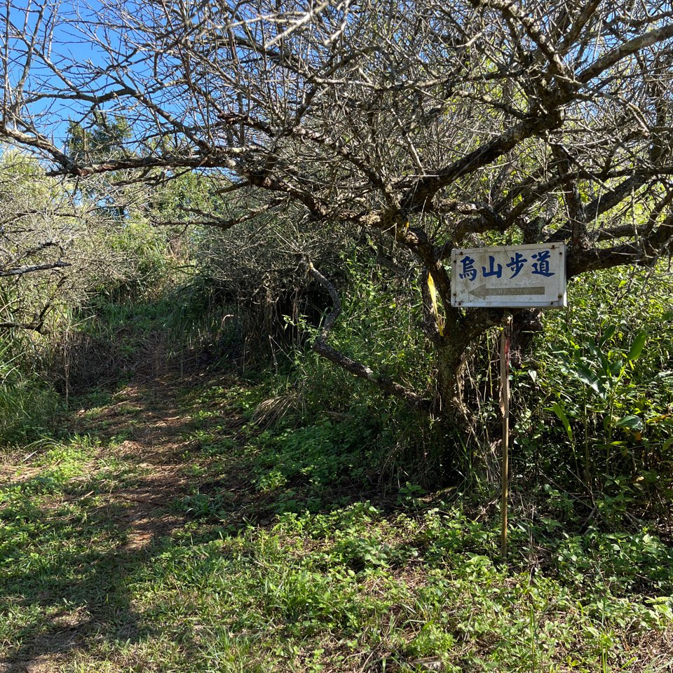 20251115_刣牛湖山（台南小百岳）_2941505
