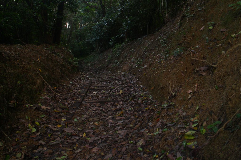 基隆．中正公園支線 中砂登山步道2023/02/12_2042420