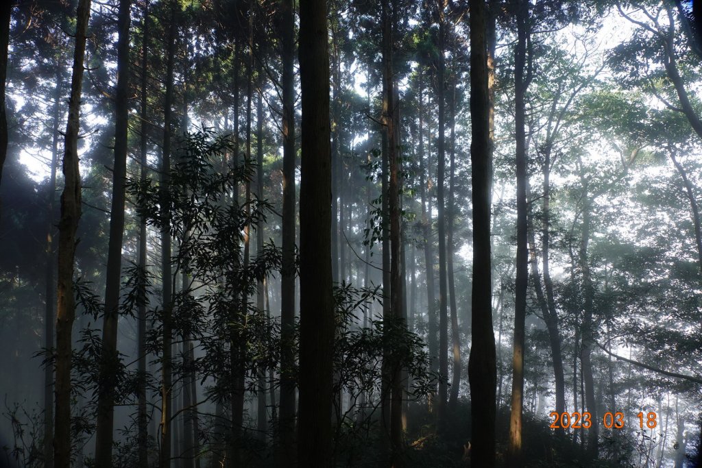 新竹 關西 馬武督山、蓮包山_2076591