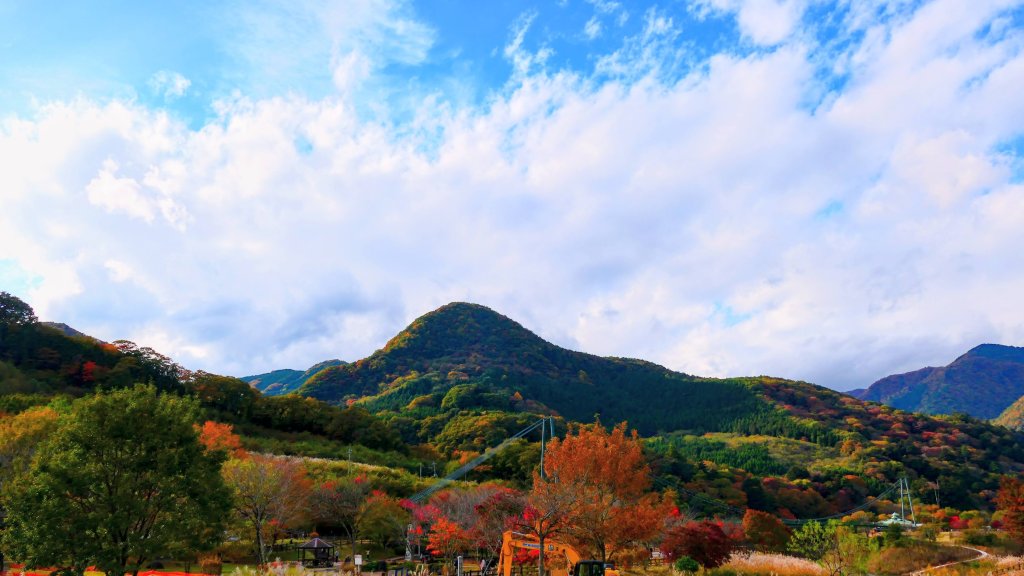 栃木縣紅葉谷大吊橋_2930309