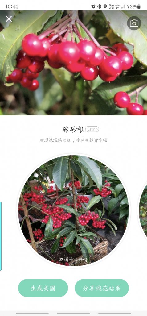 天候大晴 抹茶太靚_2015929