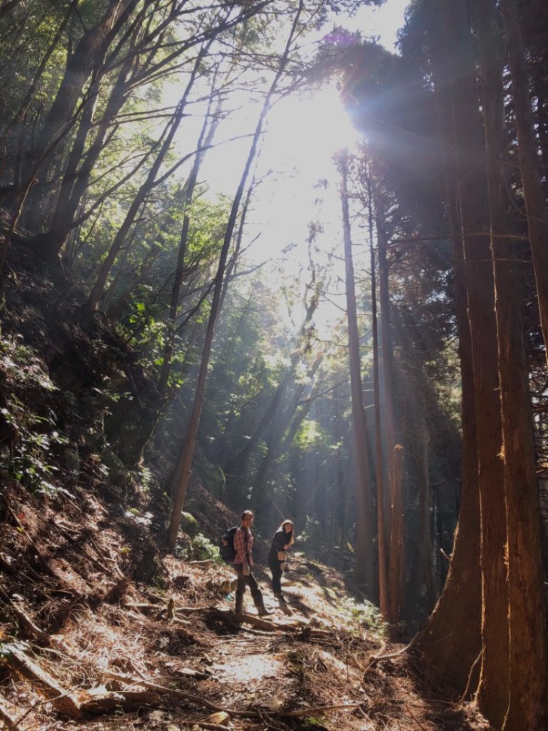 樂山鐵道封面圖