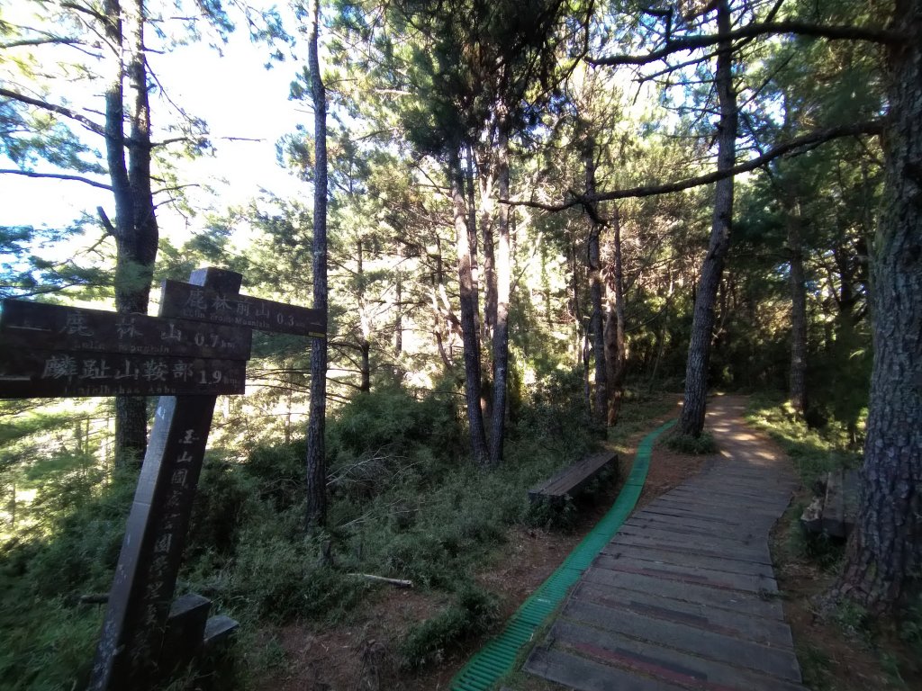 嘉義 阿里山 鹿林山、鹿林前山、真鹿林山、石水山_1487498