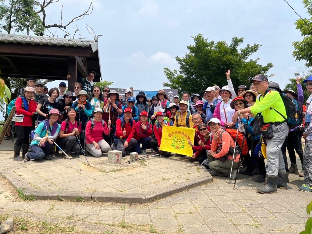 樹林下壽山巖封面圖