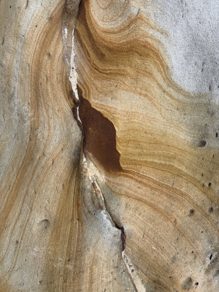 龜仙岩與玫瑰岩_2680863