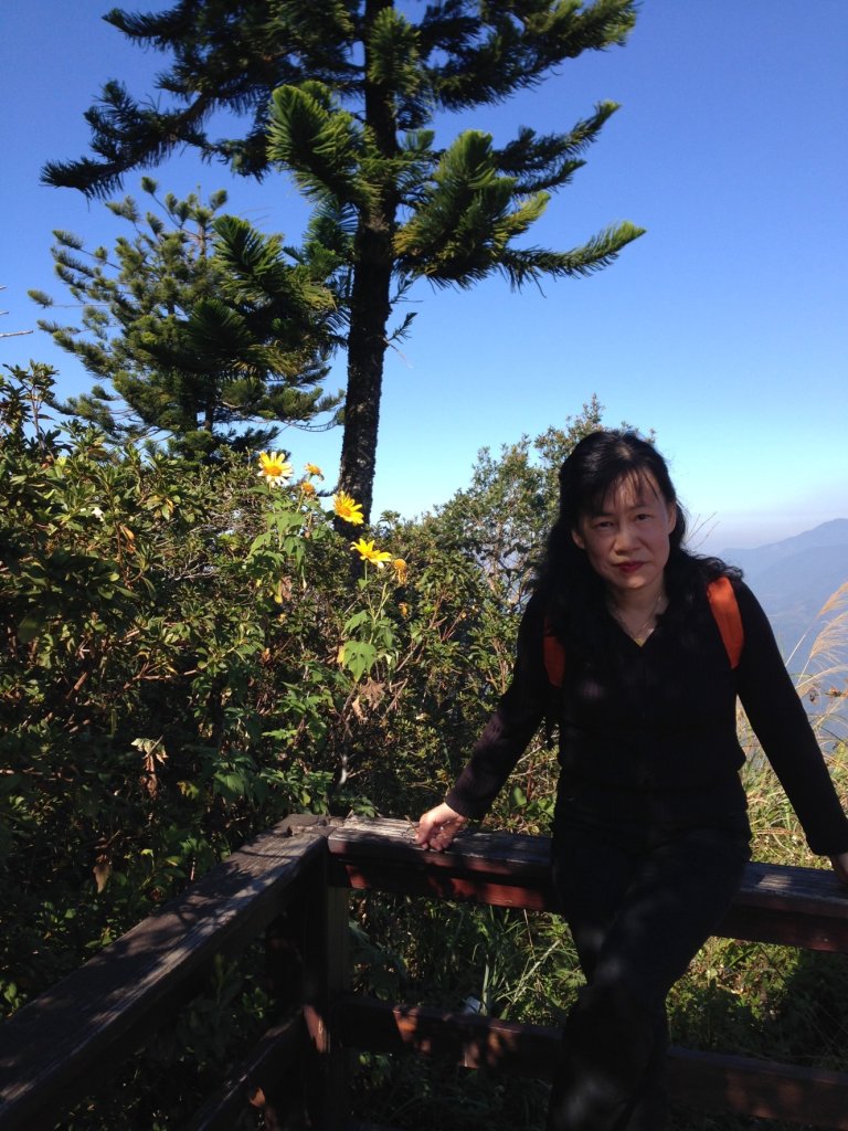 四訪苗栗的花果山-小百岳#037馬那邦山、雪霸國家公園管理處【小百岳集起來、苗栗-臺灣百大必訪步道】_2394290