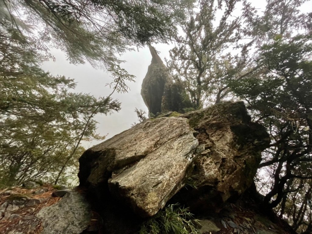 絕美銀白世界 玉山降下今年冬天「初雪」_1235941