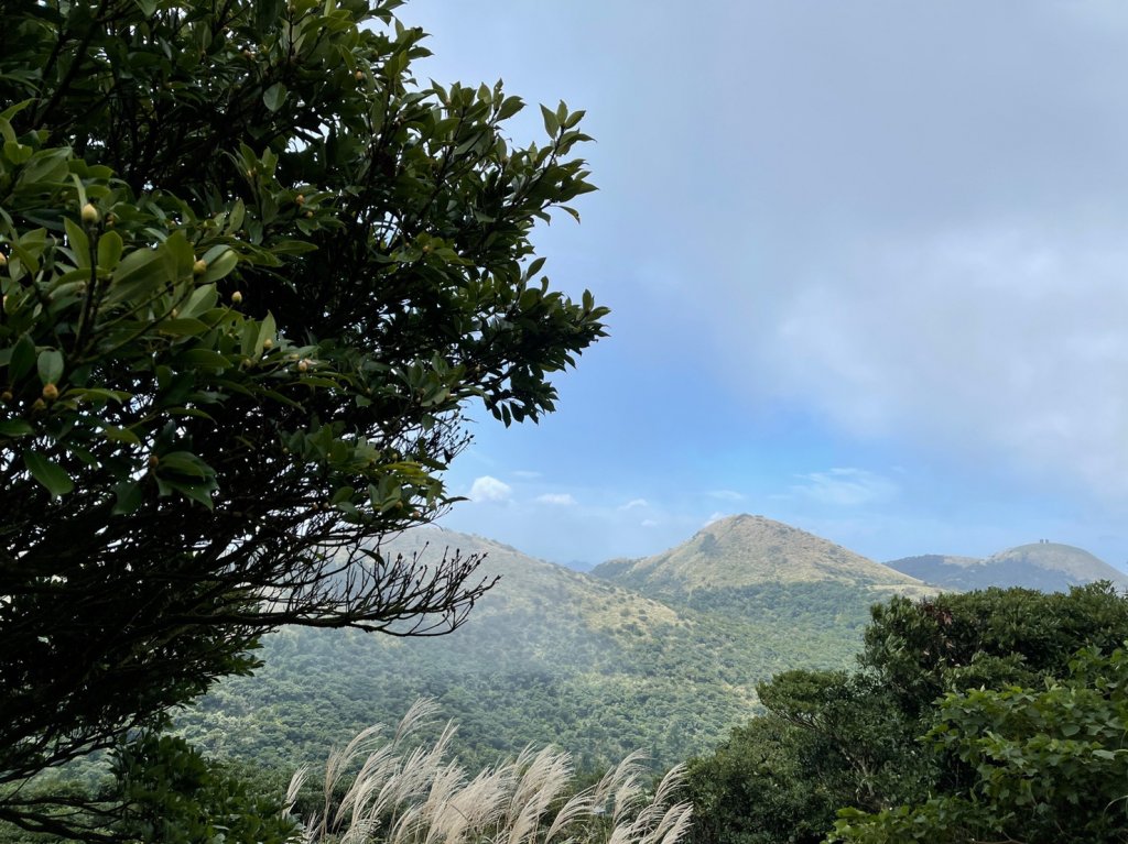 臺北大縱走2：二子坪到小油坑_1486954