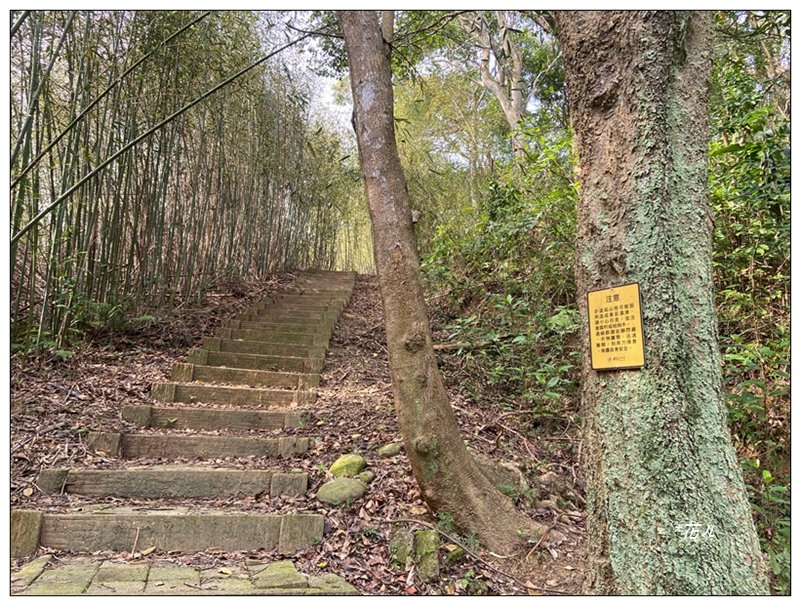 火炎山、龍峎頂步道 O型路線_2783753