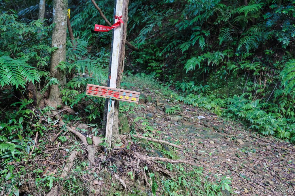 [台北天際線]姜子寮絕壁、姜子寮山、旗尾崙山_1966530