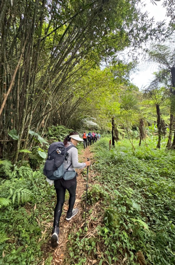 大艽芎古道縱走 新/溪州山(小百岳#23) 出溪州公園_2893940