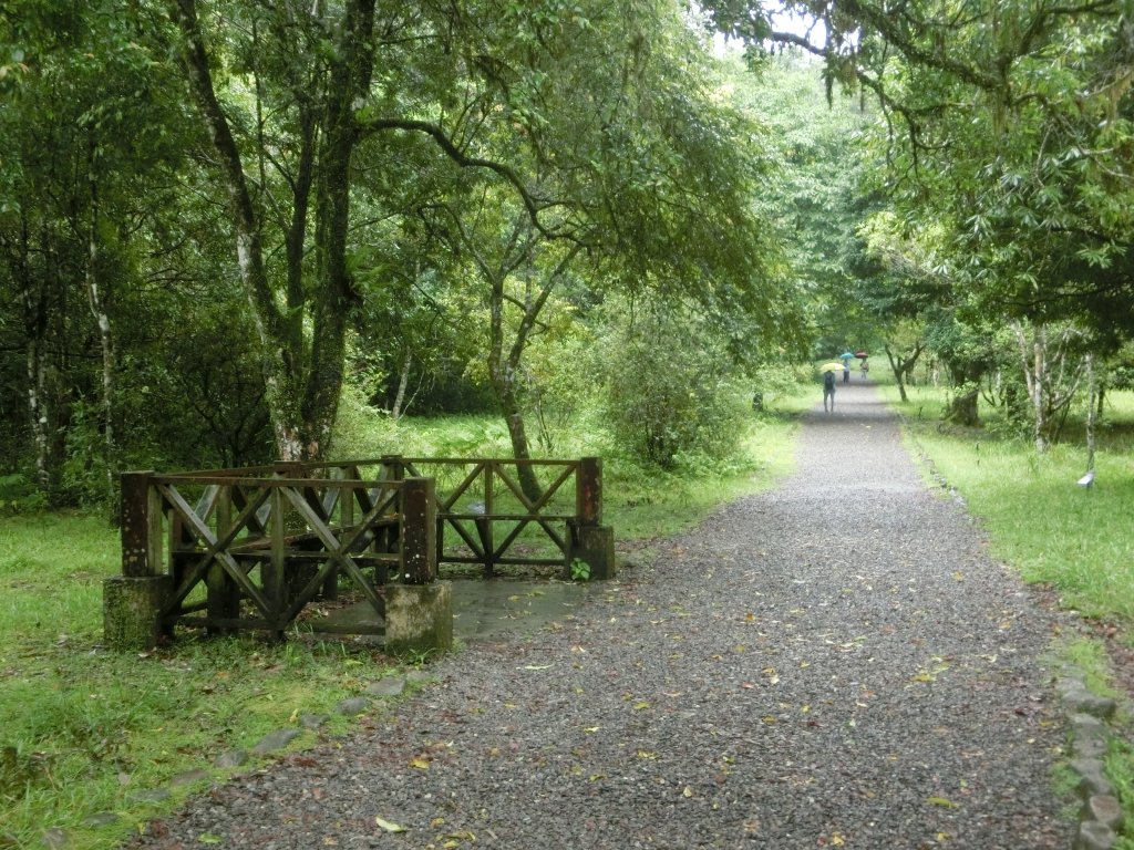 福山植物園_690993
