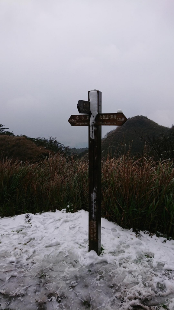 2018/2/5 七星山東峰_265371