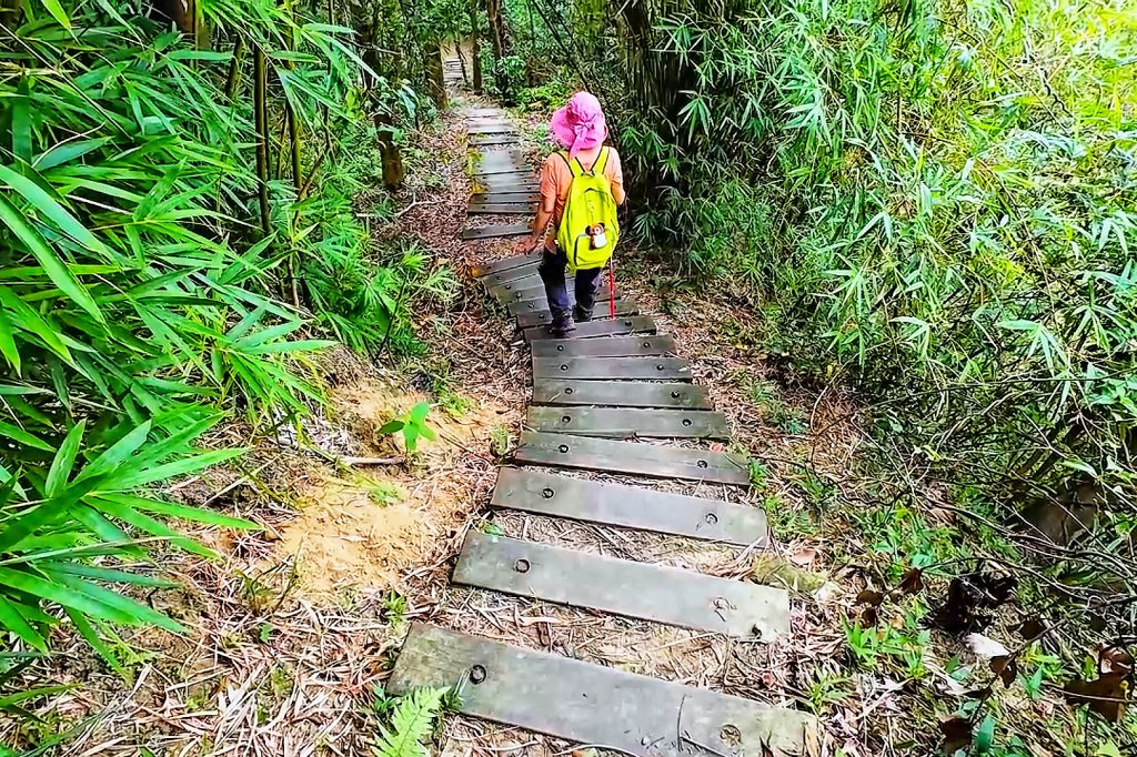 淡蘭古道中路百年山徑~暖東峽谷大環步道_2846408