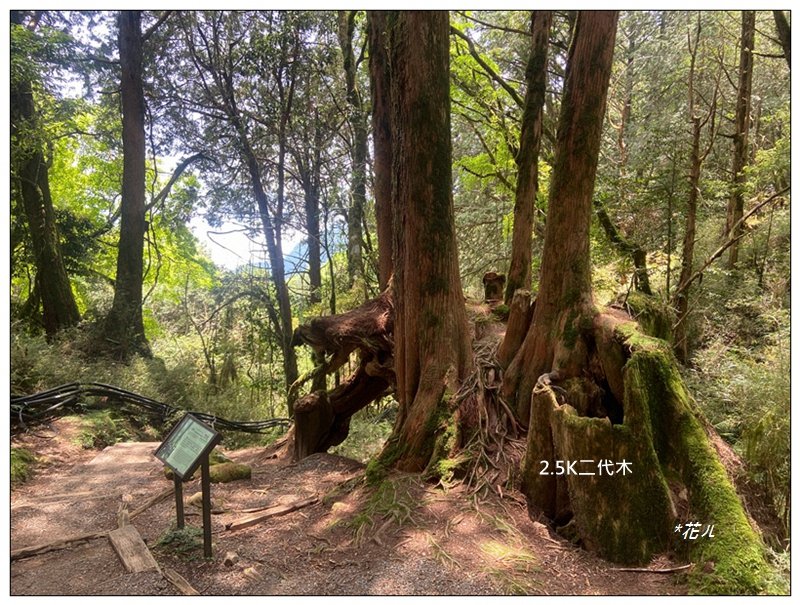 大塔山 (小百岳最高峰)_2773194