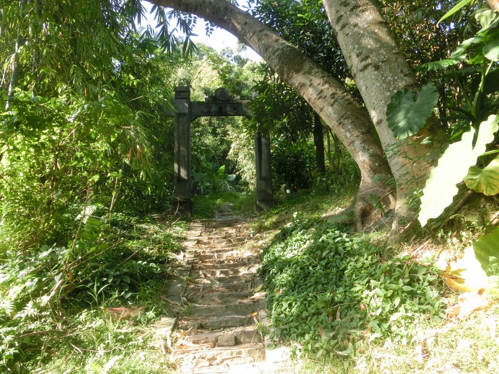 大溪訪古．花彩節_733344